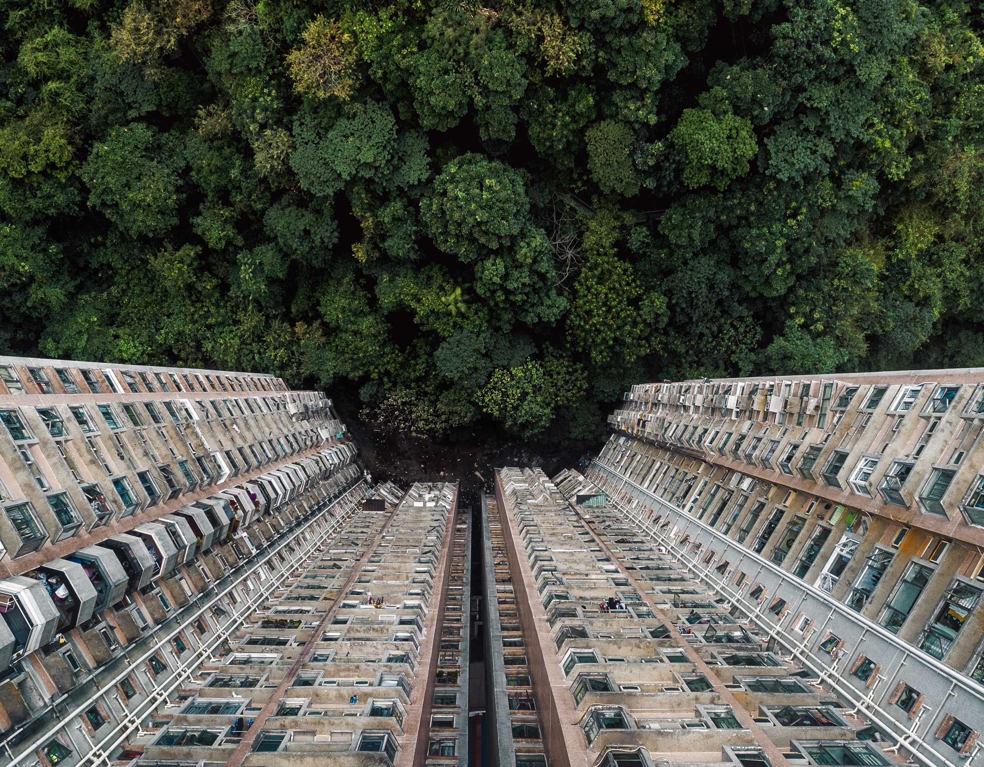 Apartment complex surrounded by trees. An example of how rewilding can be incorporated in an urban environment.