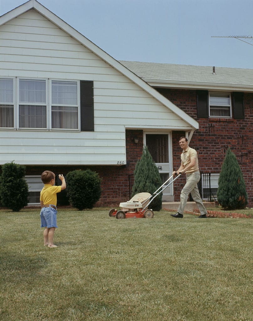 Lawns
