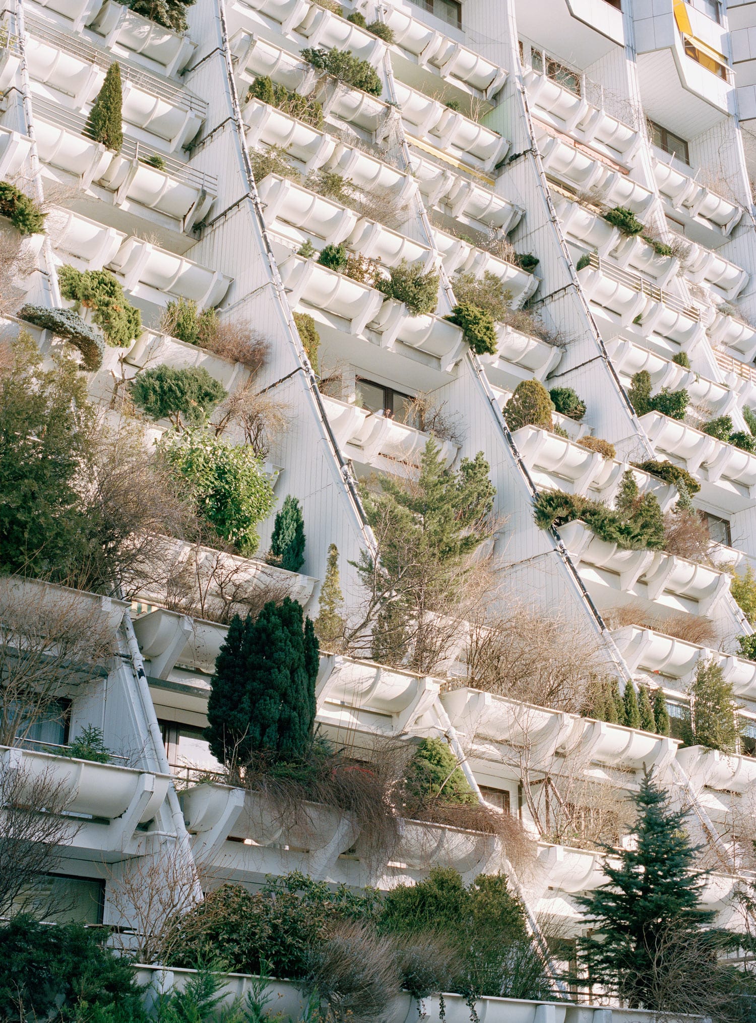The Alterlaa complex in Vienna, Austria is a good example of architecture incorporating urban rewilding by giving each apartment a large balcony with a 4 m2 (43 sq ft) trough planter in front of it.