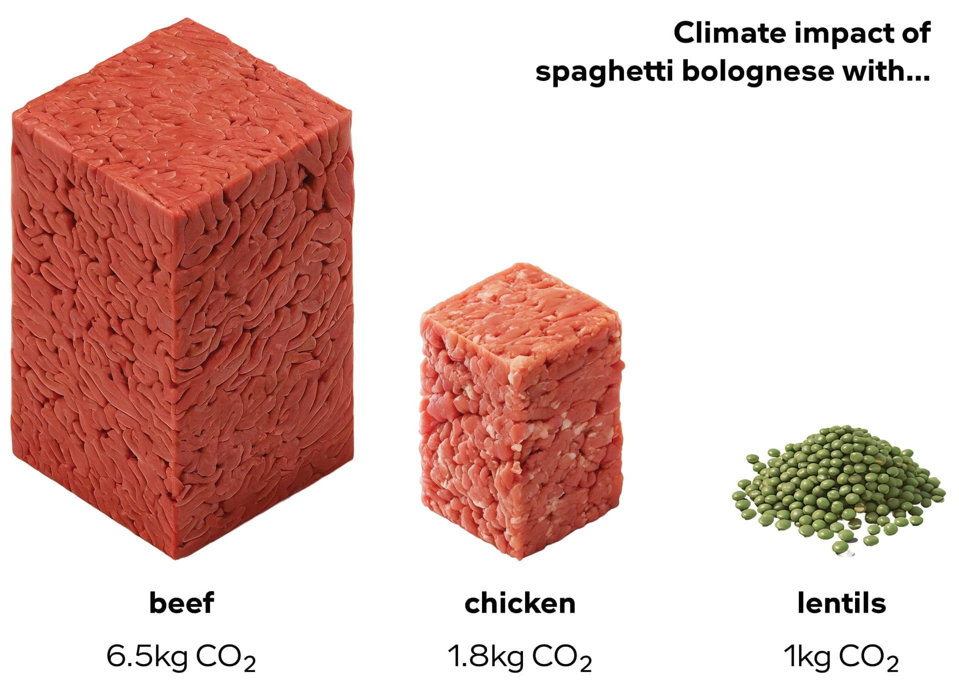 eco friendly food