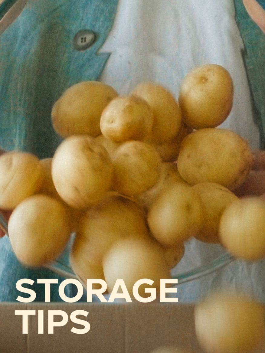 Tips on how to store food to prevent food waste